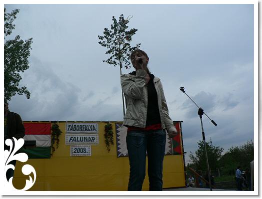 FALUNAP_2008_275