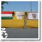 FALUNAP_2008_001