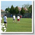 FALUNAP_2008_013
