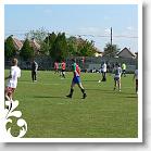 FALUNAP_2008_014