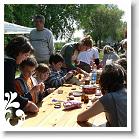 FALUNAP_2008_019