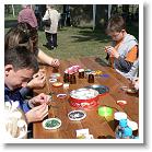 FALUNAP_2008_021