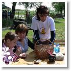 FALUNAP_2008_022