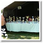 FALUNAP_2008_040