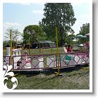 FALUNAP_2008_043