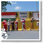FALUNAP_2008_141