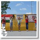 FALUNAP_2008_159