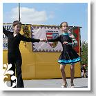 FALUNAP_2008_163