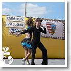 FALUNAP_2008_164