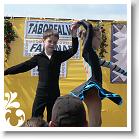 FALUNAP_2008_167