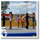 FALUNAP_2008_179