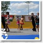 FALUNAP_2008_181