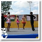 FALUNAP_2008_184