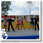 FALUNAP_2008_186