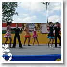FALUNAP_2008_187