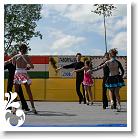 FALUNAP_2008_190