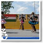 FALUNAP_2008_191