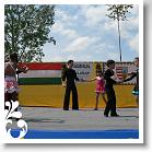 FALUNAP_2008_193