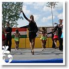 FALUNAP_2008_195