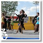 FALUNAP_2008_199