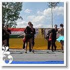 FALUNAP_2008_203