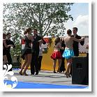 FALUNAP_2008_209