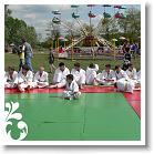 FALUNAP_2008_220