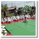 FALUNAP_2008_221