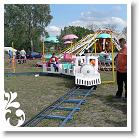 FALUNAP_2008_222