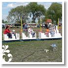 FALUNAP_2008_223