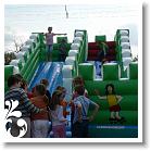 FALUNAP_2008_225