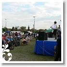 FALUNAP_2008_244