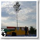 FALUNAP_2008_264