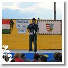 FALUNAP_2008_267