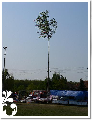 Falunap_07_002