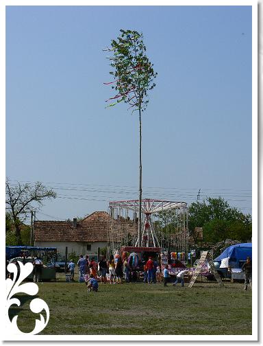 Falunap_07_030