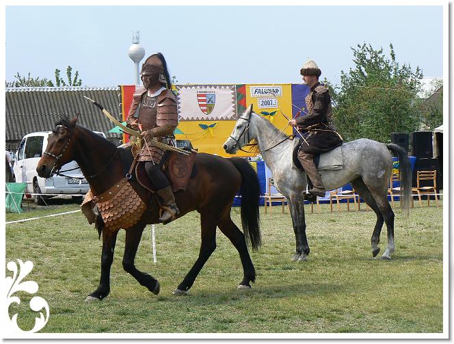 Falunap_07_082