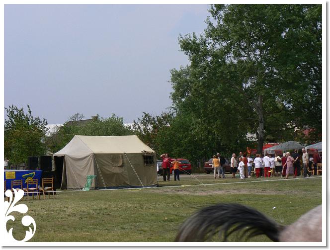 Falunap_07_084