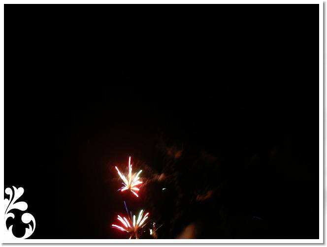 Falunap_07_154