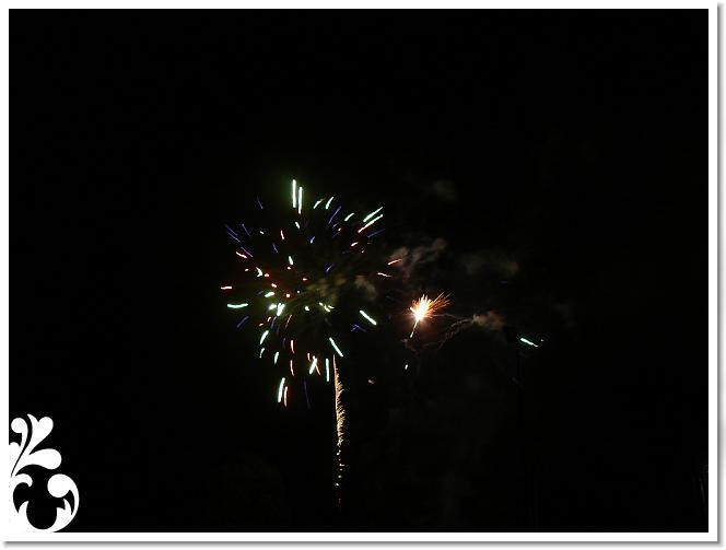 Falunap_07_158