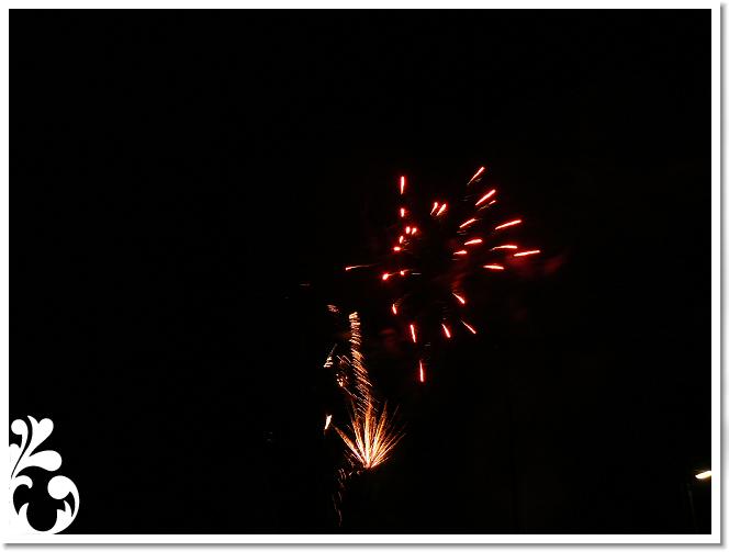 Falunap_07_160