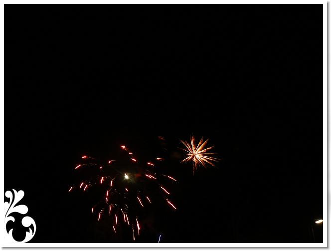 Falunap_07_163