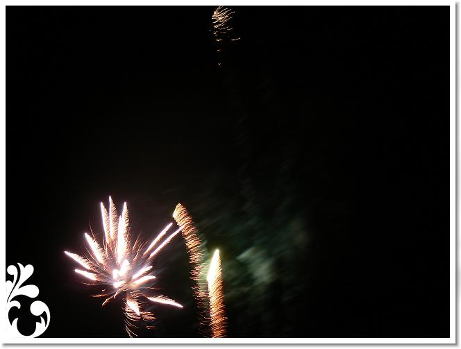Falunap_07_167