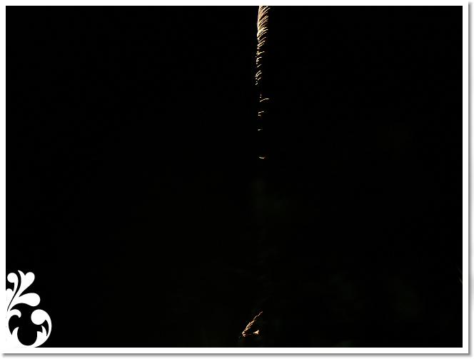 Falunap_07_169