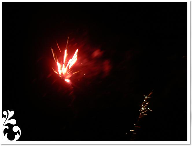Falunap_07_182