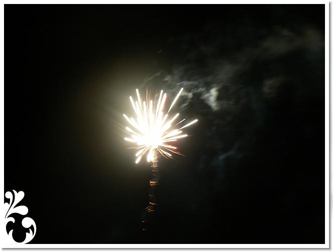 Falunap_07_202