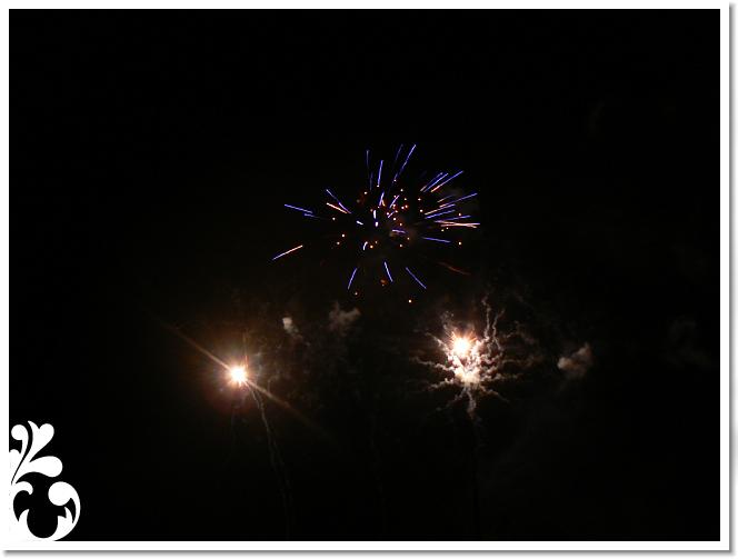 Falunap_07_225