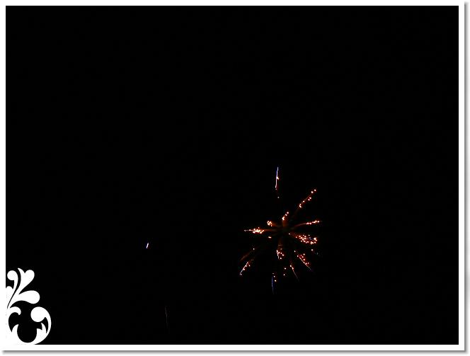 Falunap_07_229