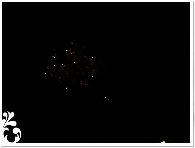 Falunap_07_245