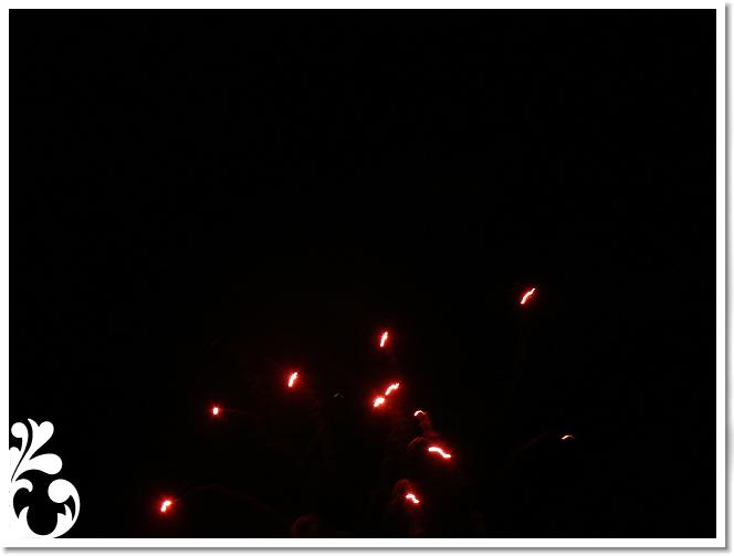 Falunap_07_264